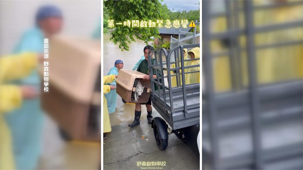 野森動物學校積水退　員工出鏟清滿地髒污