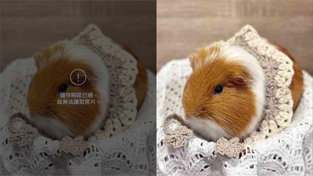 LINE「照片過期」打不開超煩！內行「1招秒破解」網實測嗨翻：真的有用