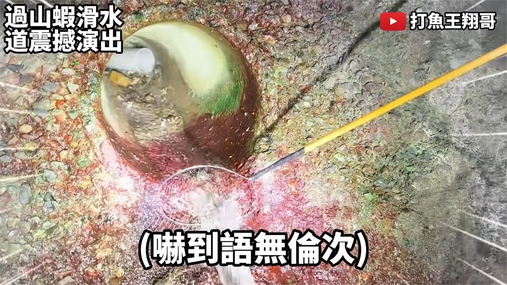 得來全不費工夫!網紅捕獵時見「蝦自動滑入網」 浮誇景象笑喊:超誇張