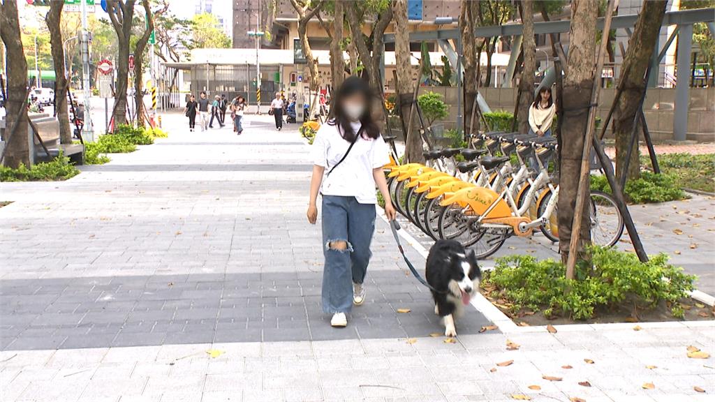 獨家／新板特區治安隱憂　女子遛狗竟遭惡男恐嚇