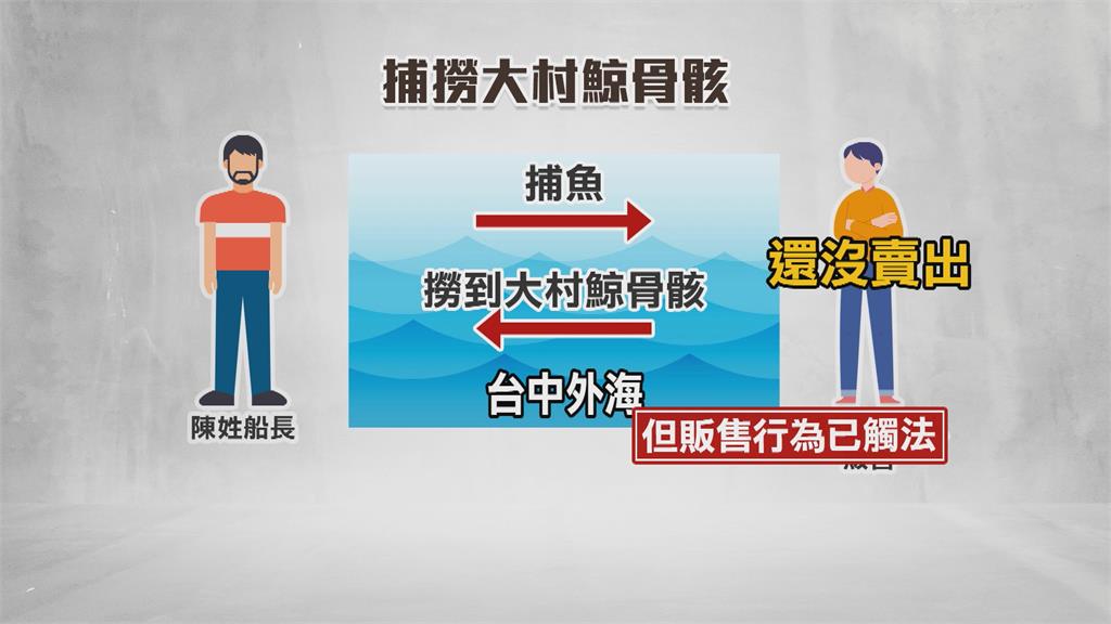 公開販售保育類!高雄漁民撈「大村鯨骨骸」託友賣66萬被法辦