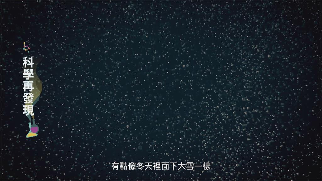 科技探索視角大不同 聲納發掘新海洋