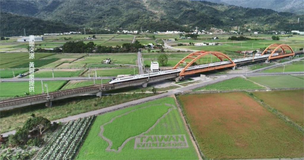 花蓮玉里新打卡點　油菜花田裡有「台灣」