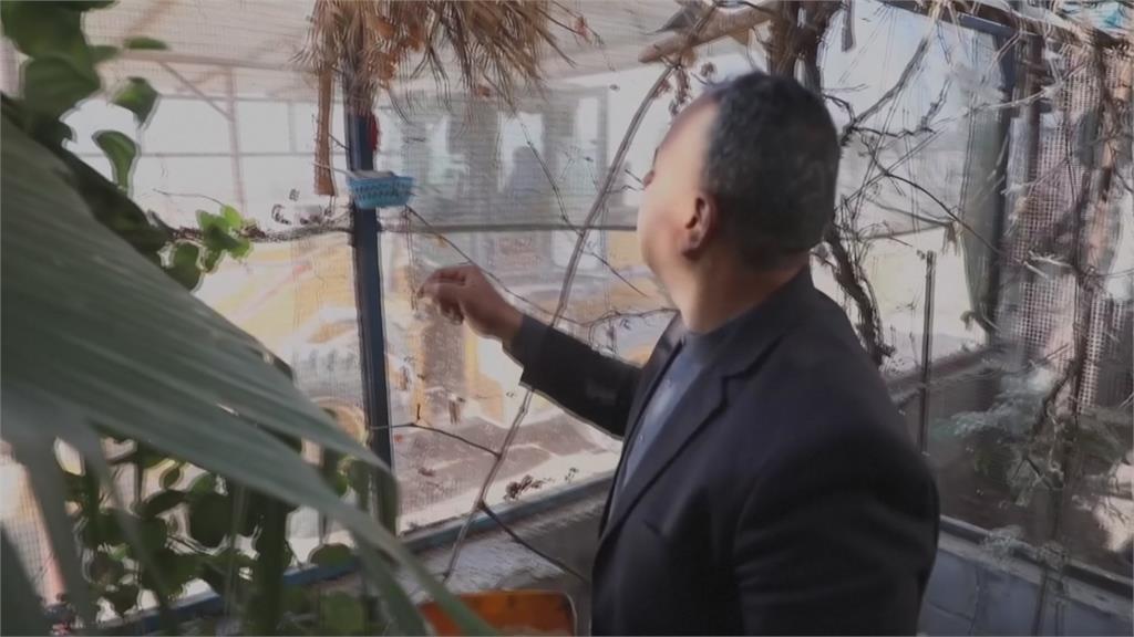 愛鳥變商機!自建鳥類保護區 數量達700多隻吸遊客參觀