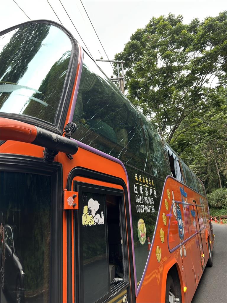 快新聞/南投縣鹿谷鄉路樹倒塌造成4人擦挫傷!事發路段已恢復通車