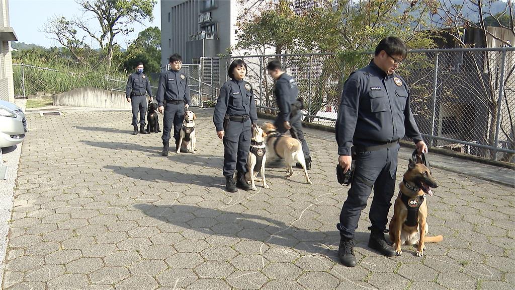 警犬、搜救犬成最萌生力軍！　新警犬「大福」報到萌翻一票網友