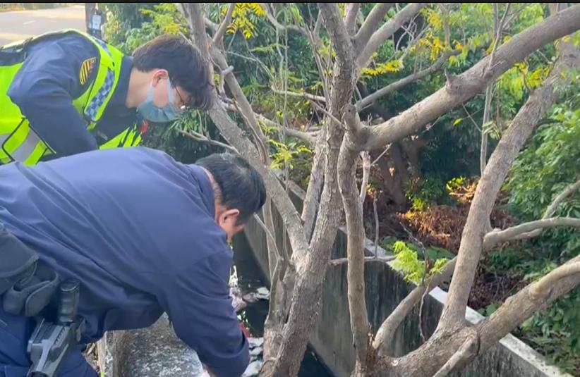 離奇! 恐怖車禍女騎士噴飛 "倒栽蔥"卡圳溝樹幹身亡