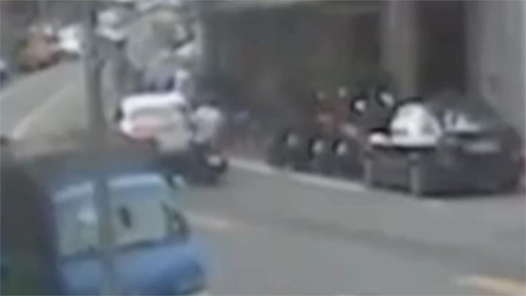 車禍當事人竟是「哈士奇」　飼主怒質問網全笑翻