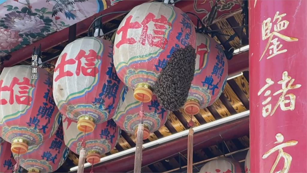 麻豆文衡殿「萬蜂」徘徊神像　10分鐘飛走香爐爬行留字