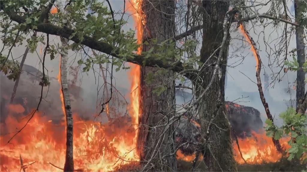 巴黎南部近郊爆發野火 火勢蔓延逾千公頃、撤離千人