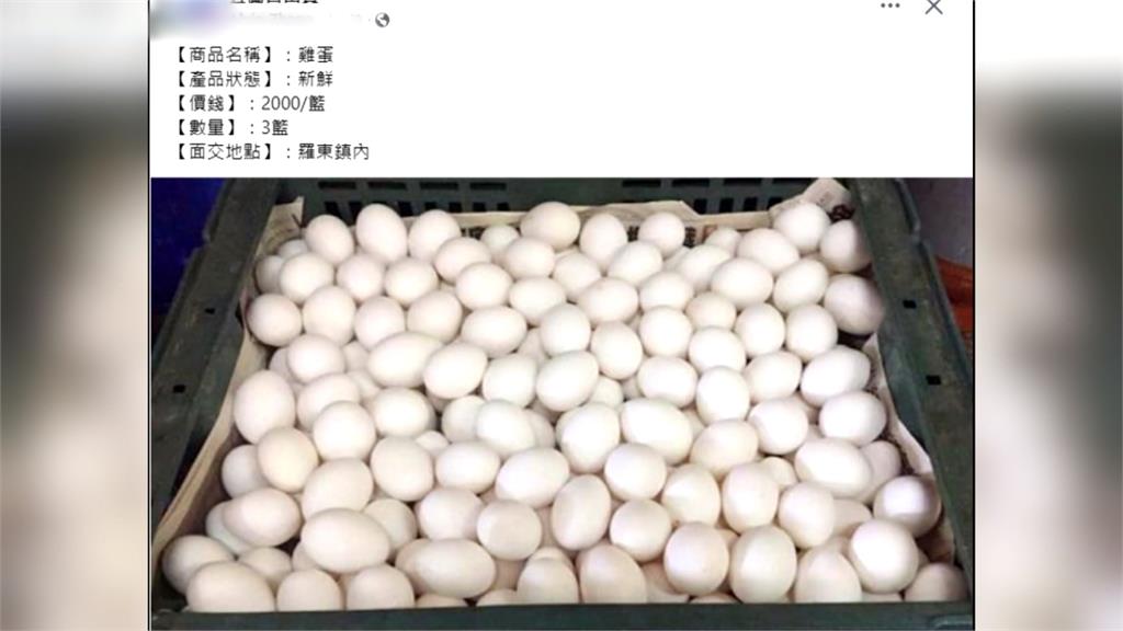 宜蘭社團發文賣蛋 留言處好多+1疑似囤蛋拋售