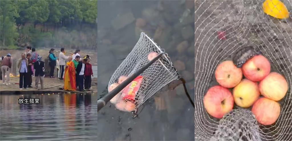 中國流行奇葩放生！道士率眾「丟水果+動物」畫面曝…烏龜幾乎全死光