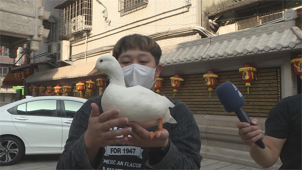 嘉義市城隍廟如動物園超熱鬧！　飼主排長龍點「寵物平安燈」