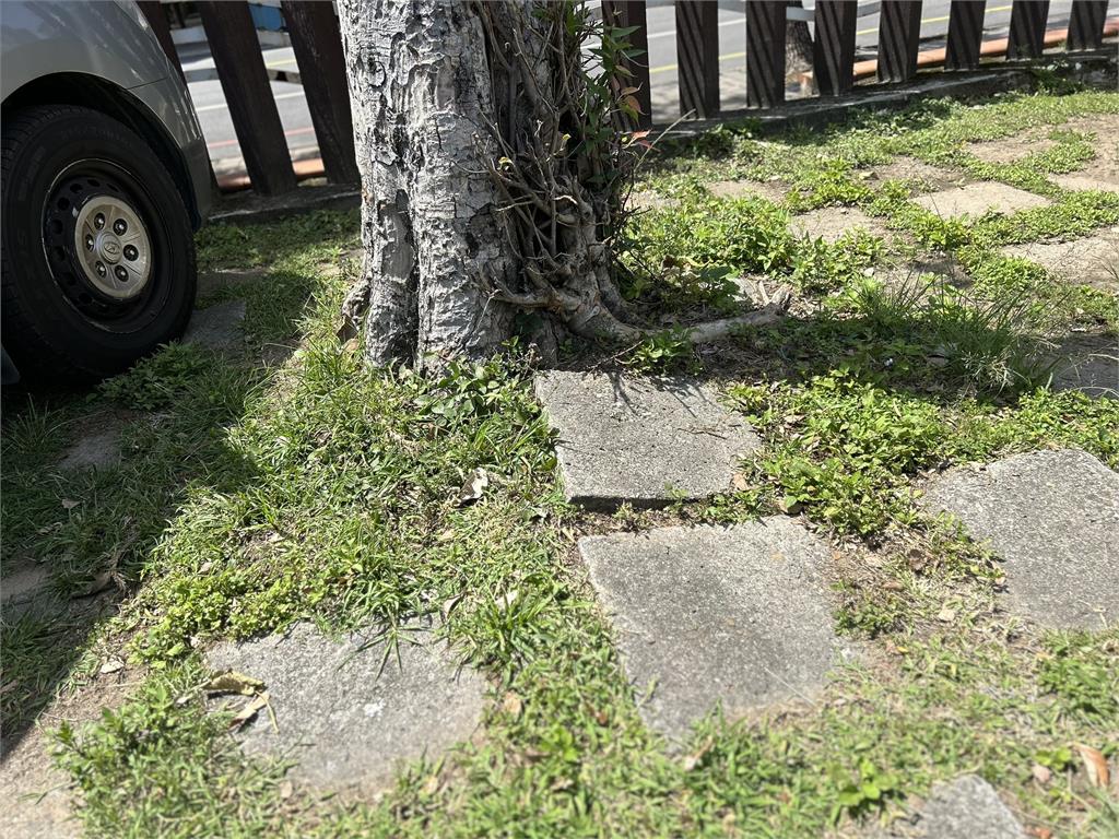 快新聞／中央挺苗栗！后庄國小地面不平　沈發惠成功爭取350萬改善