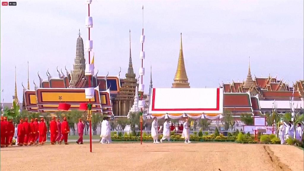 泰國春耕儀式祈求豐收　國王夫婦親自主持