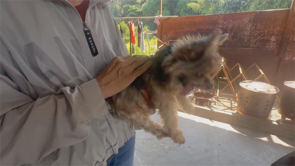 護理師下班被賓士迴轉輾斃　母淚崩要求凶手靈堂下跪