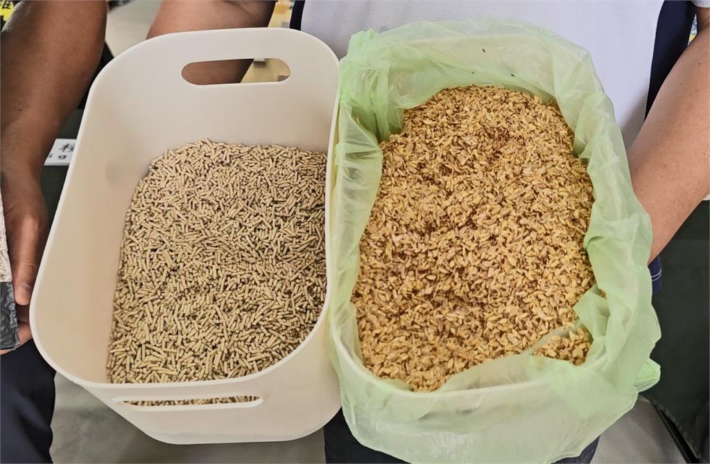 搶攻寵物商機!青創團隊與政府合作研發「稻穀貓砂」 打造農業新產值