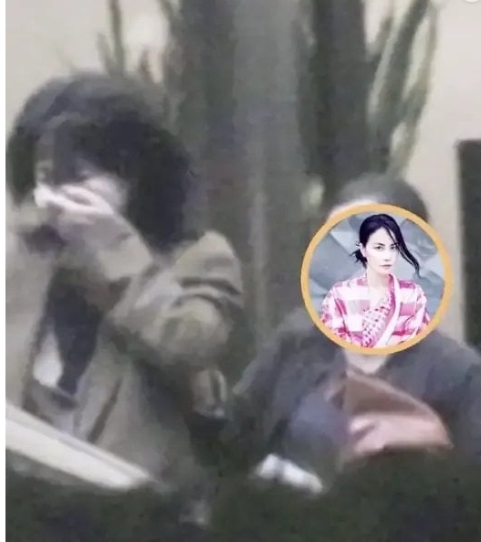 王菲居家私密照遭外流!驚見謝霆鋒「黑臉真面目」震撼網:看不出來
