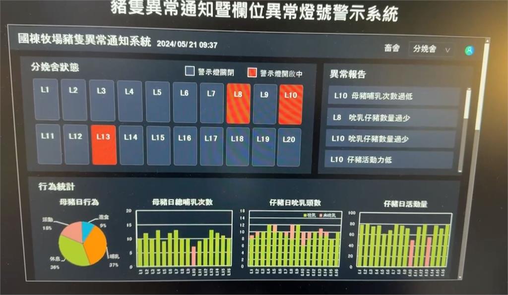 小豬頻傳夭折「被媽媽壓死」 AI系統1功能豬農全笑了