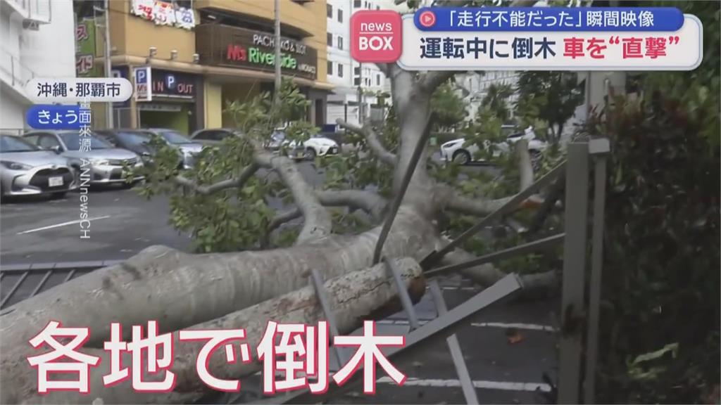 「薔蜜」掃過日本九州！狂風暴雨釀萬戶停電　逾300航班停飛、16人受傷