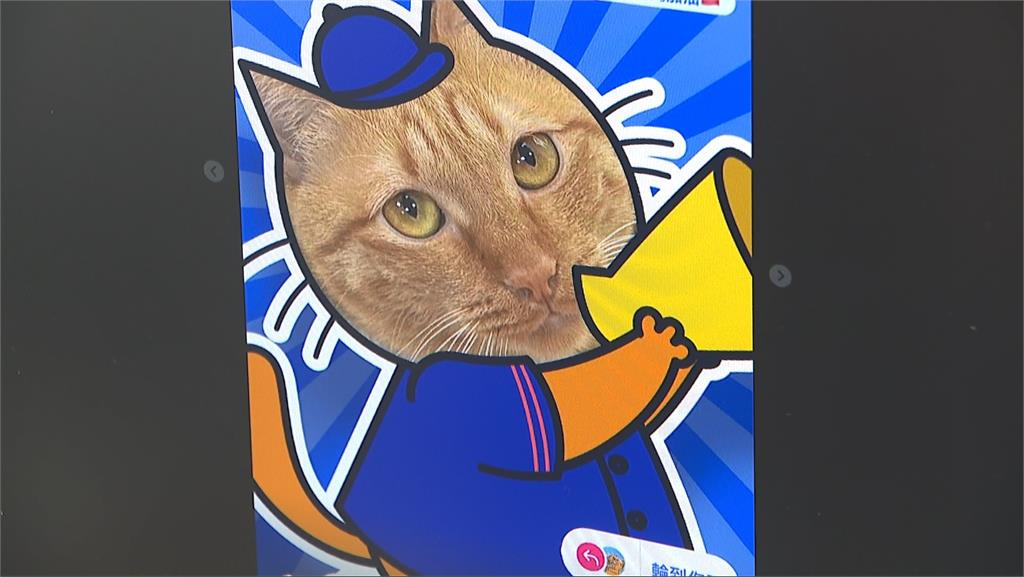 不用上班！會議室吶喊看球賽　寵物公司佛心老闆揪員工應援