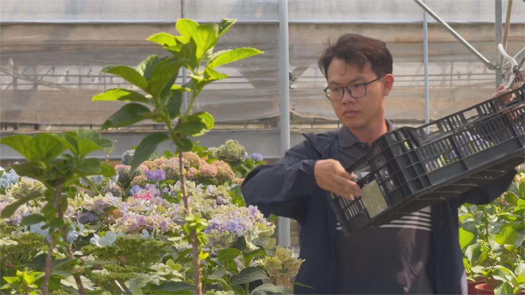 百大青農吳承燁　透過科技創新管理花卉奪得花農冠軍