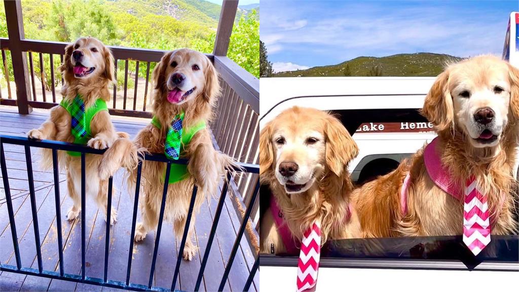 支持度比總統高！鎮長遭爆「賣身上位」官護3代炸裂內幕…無碼撫摸片流出