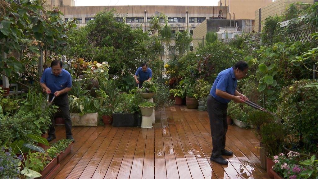 名醫教養生/台大名醫愛咖啡 張金堅自創「三杯咖啡養生法」