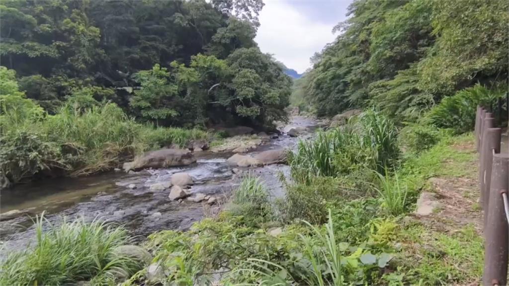 南庄消暑秘境！　＂蓬萊溪護魚步道＂如走入忘憂谷