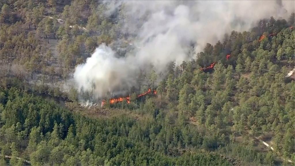 美國紐澤西州爆發森林野火 疑19歲青少年縱火