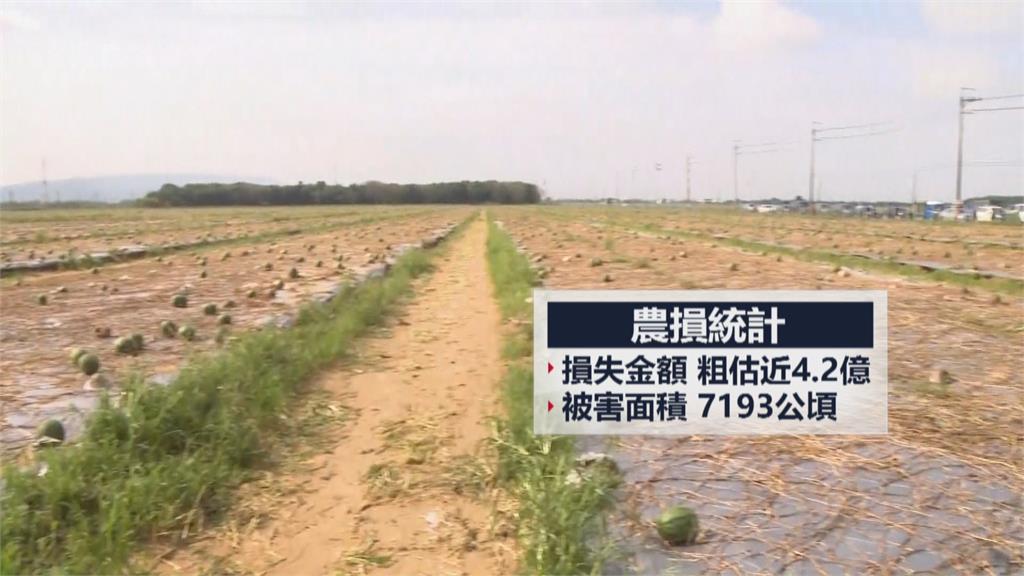 豪雨農損破4.2億 蘇揆赴彰化視察白花椰菜