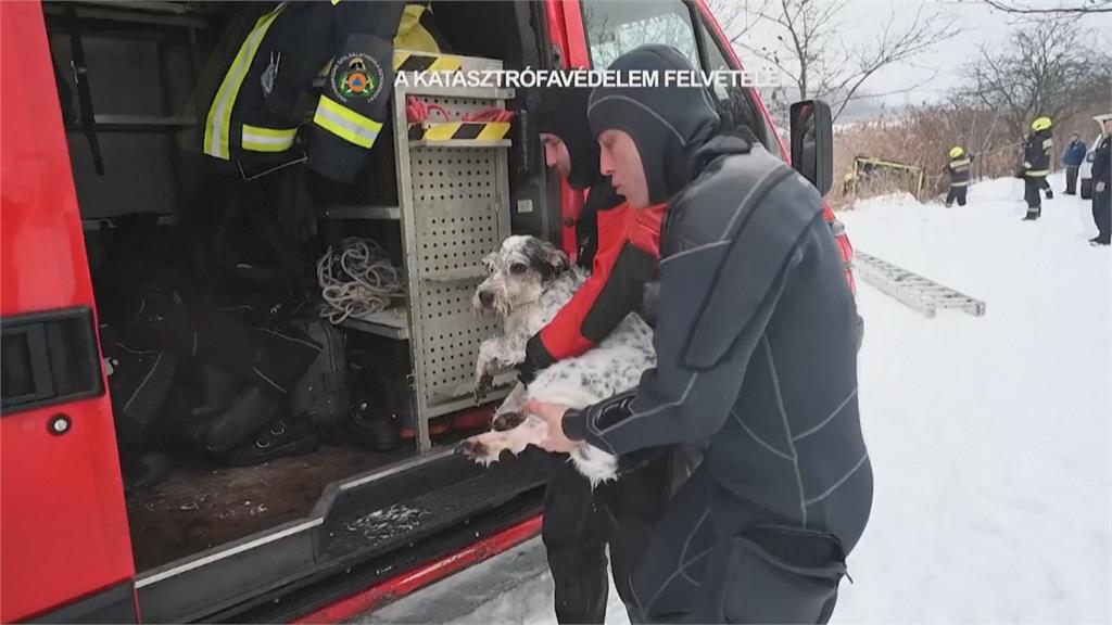 貪玩小狗受困結冰湖中 消防員展開冰雪救援