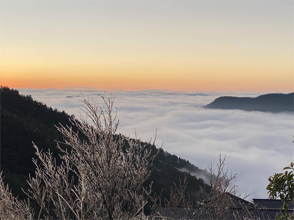 快新聞/太平山低溫達-1度! 日出雲海、霧淞再現絕美世界