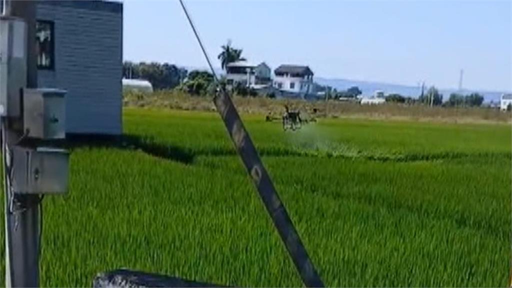 無人機噴灑農藥！農民控害木瓜園受損　中市府：加強查核宣導