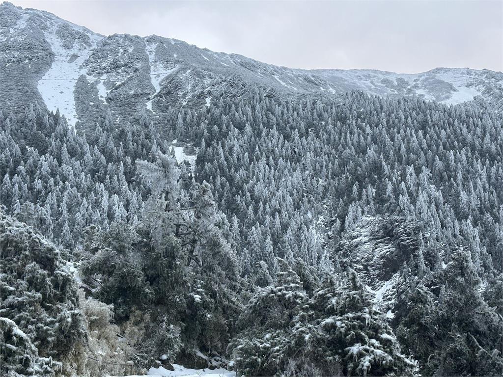 快新聞/低溫挾水氣!合歡山3月「11.5公分」積雪未退 銀白美景曝光