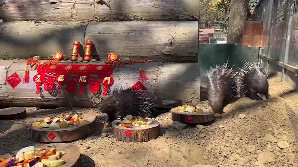 應景又討喜！　壽山動物園豐盛圍爐宴讓動物過好年