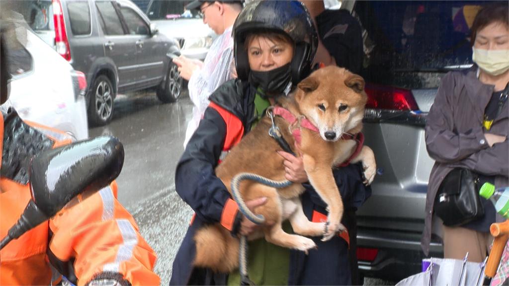 新店錦秀路邊坡崩塌　三年前也曾發生土石流！
