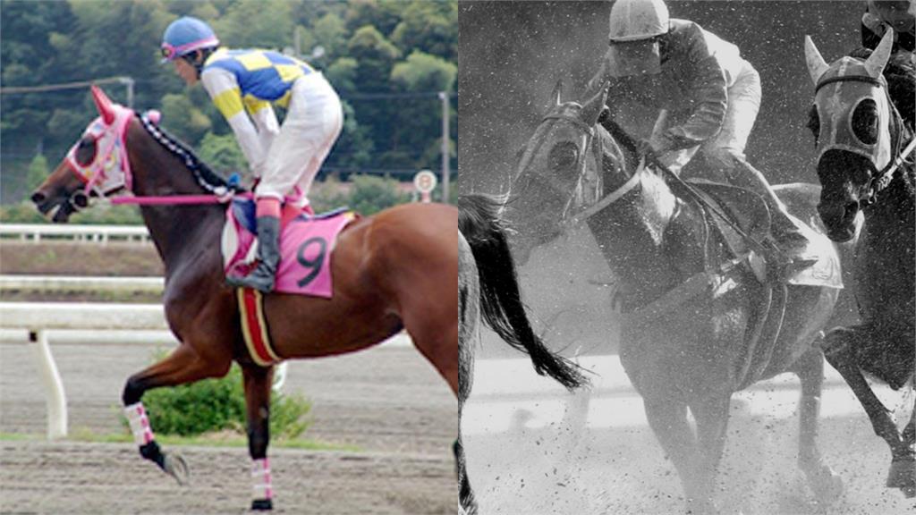 昔「8年連吞113敗」無勝績！「賽馬娘春麗」原型離世…傳奇生涯落幕