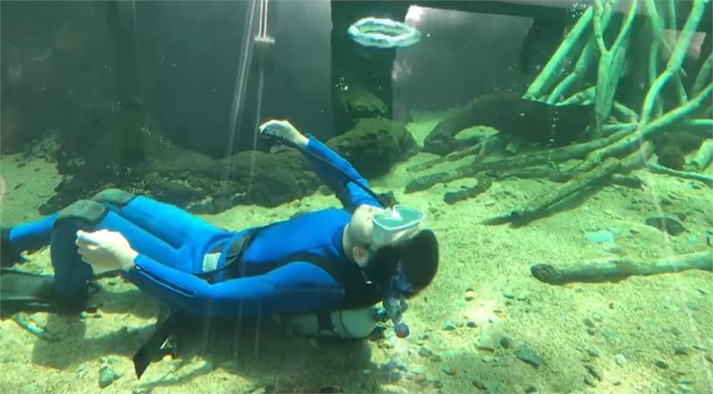 水族館派出「藍色長腳類鯨魚」救業績！8秒狂噴泡泡網朝聖：珍貴物種