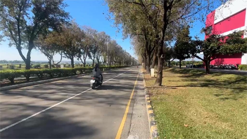 屏科大"校狗暴衝"撞翻車! 騎士慘摔四肢擦挫傷