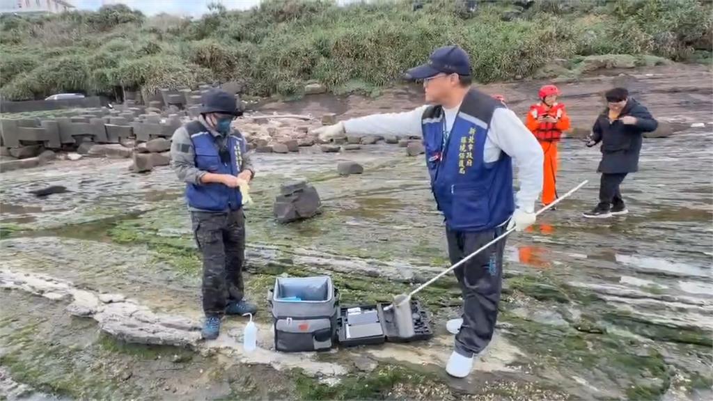 快新聞／惡「毒」手段！新北馬崗潮間帶疑遭惡意毒魚　里長急籲勿採野菜