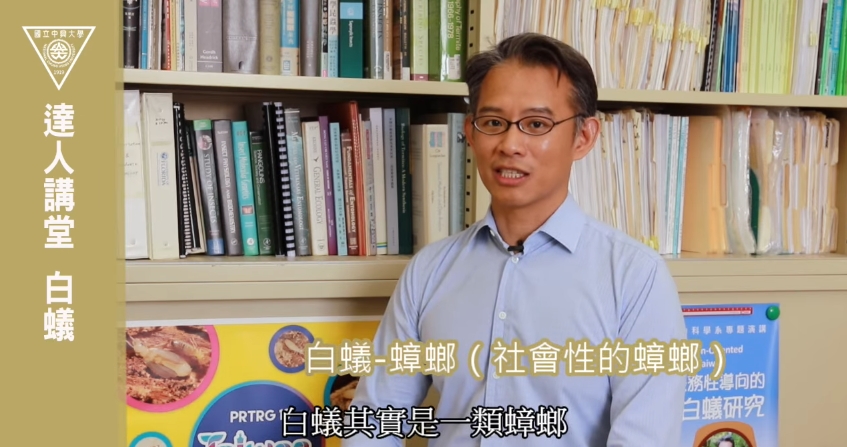 大水蟻其實是「特化型蟑螂」！專家揭真相　網友崩潰：請讓我繼續無知