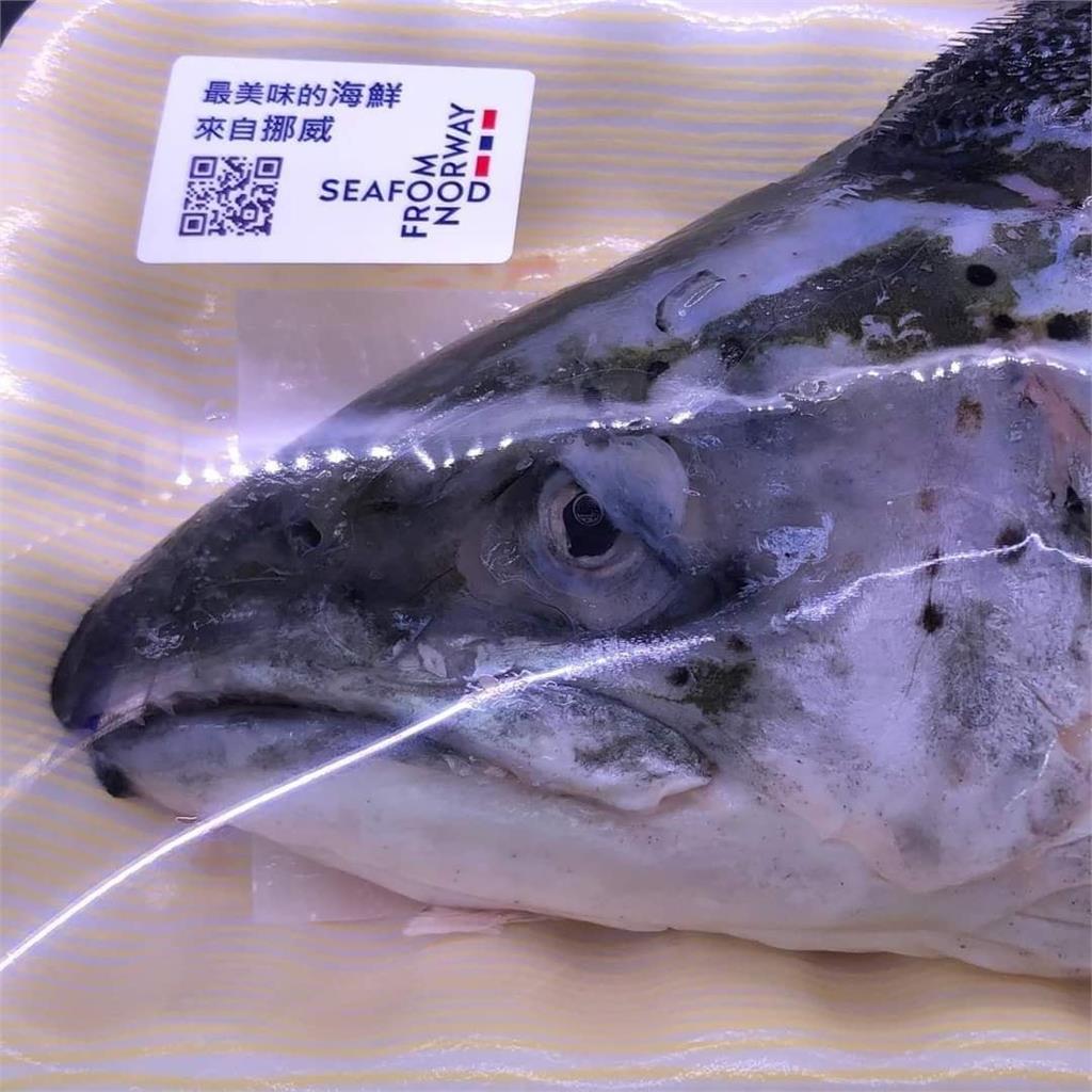 來自挪威的悲傷？賣場鮭魚「眼睛有故事」　網友笑翻：不吃你了