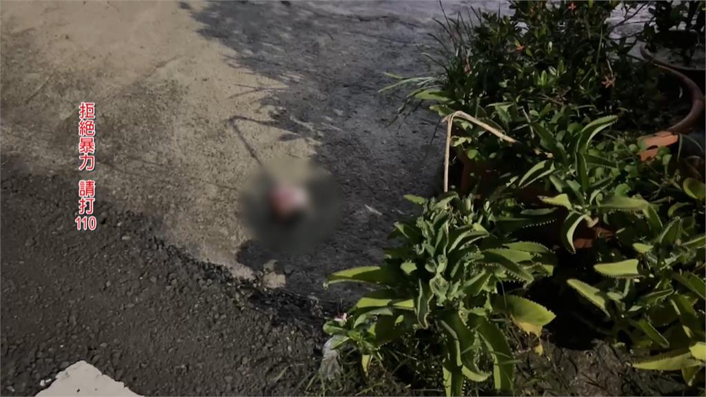 疑爭田地家產兄弟鬩牆！　　大伯持刀砍弟媳、姪女　3人送醫