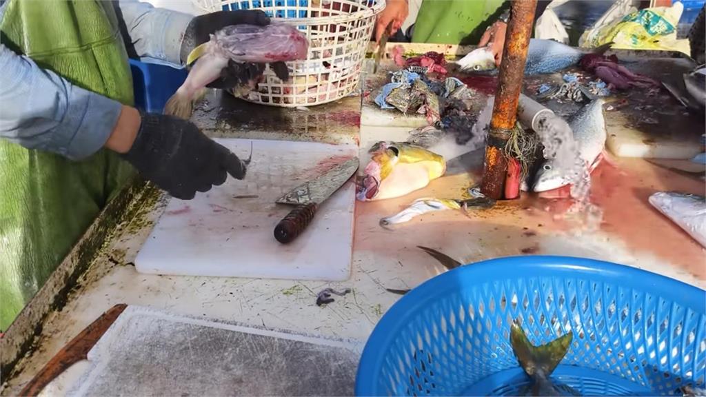 開箱宜蘭定置漁場!他意外獲「身懷劇毒的海雞腿」 剝皮現殺畫面曝光