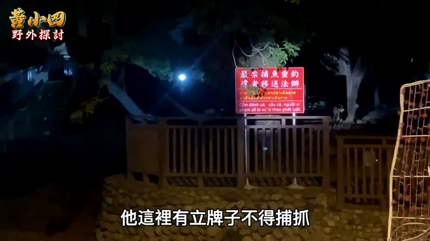 外來種台南公園肆虐！達人漏夜獵澳洲小龍蝦　意外捕獲超巨孟加拉鱔魚