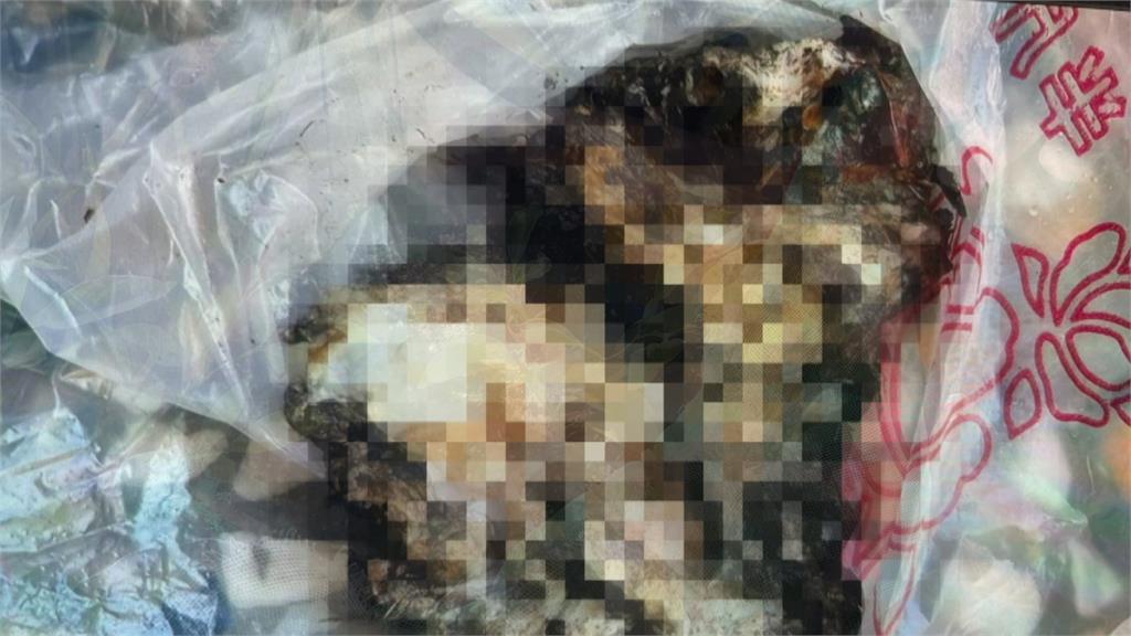 花盆裡藏「肉塊」! 高雄婦嚇到報警追查凶手大吃一驚