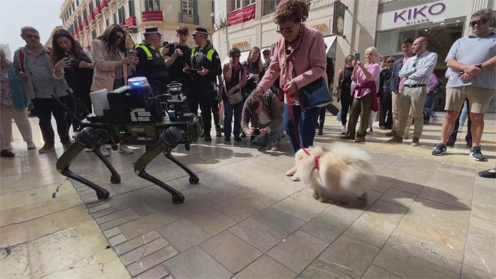 AI時代來臨！　西班牙測試機器狗取代交通警察
