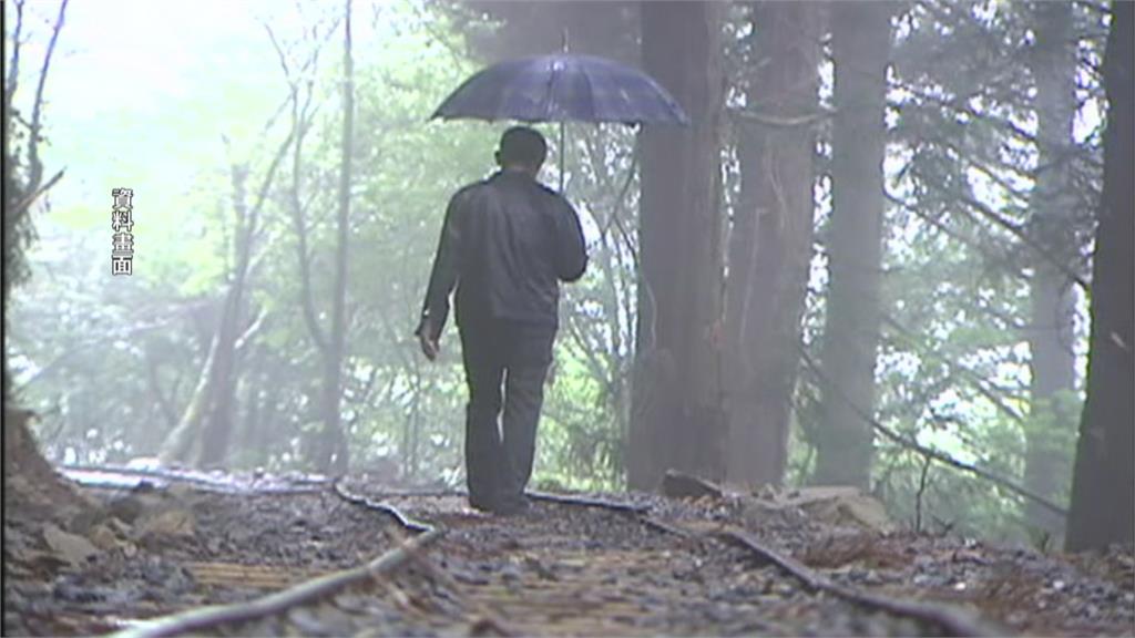 嘉義阿里山驚傳台灣黑熊出沒 好奇「拍打鏡頭」畫面曝光