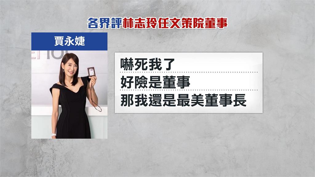 林志玲任文策院董事引議　梁文傑：她曾被黃安舉報台獨份子